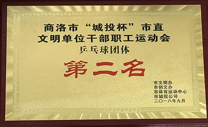 商洛市“城投杯”市直文明單位干部職工遠(yuǎn)動(dòng)會(huì)品乓球團(tuán)體第二名