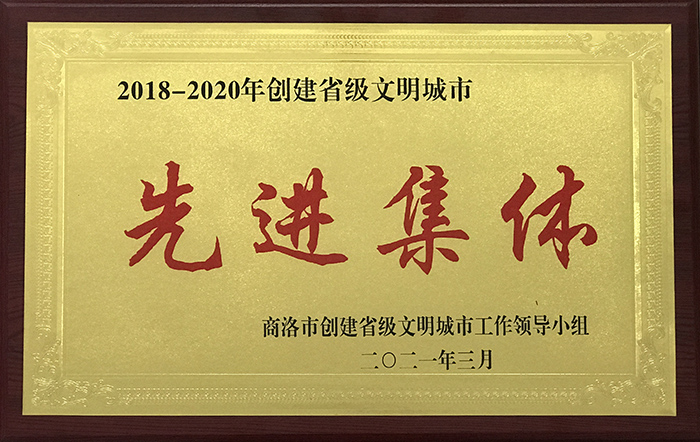 公司榮獲創(chuàng)建省級(jí)文明城市工作先進(jìn)集體稱號(hào)